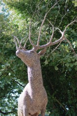 IMG_0459.jpg