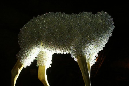 MasdAzil10.jpg, août 2011 MasdAzil10.jpg