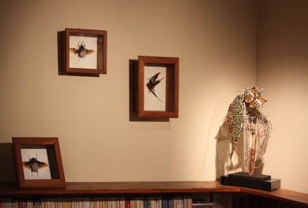 BSmai20111.jpg