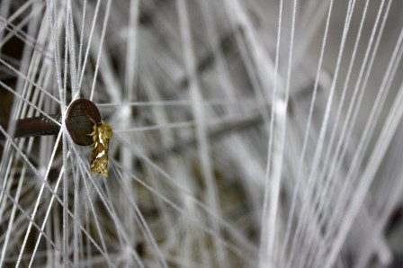 PdNsurCdC3.jpg, mai 2011 PdNsurCdC3.jpg