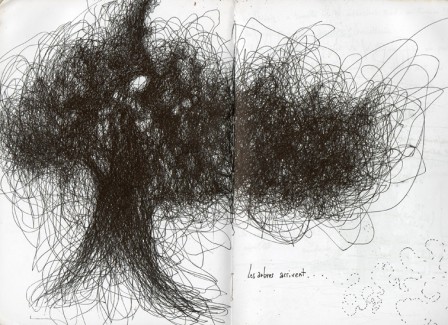 CaIarbre1.jpg