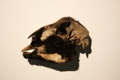CdCAccrochage6.jpg