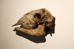 CdCAccrochage8.jpg