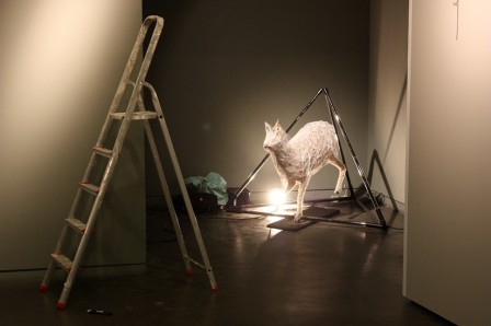 InstallGoF1.jpg