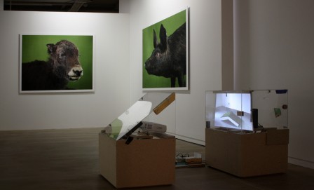 Rituels2.jpg, juin 2011 Rituels2.jpg