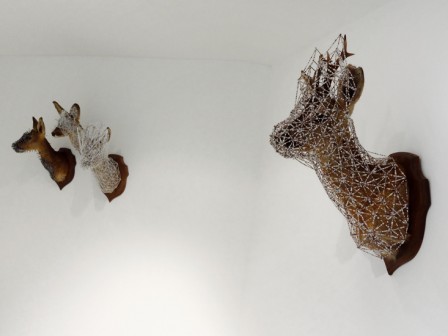 Showroom1111ST4.jpg