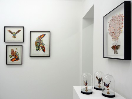 Showroom1111ST5.jpg