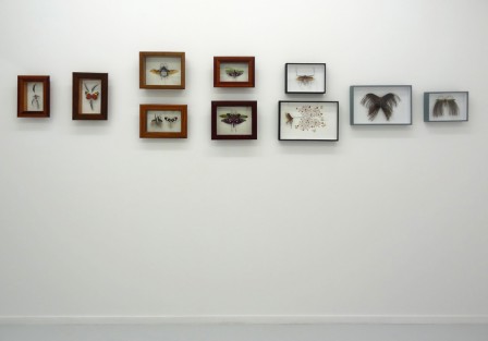 Showroom1111ST9.jpg