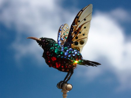EntomosouiArcEnCiel1.jpg