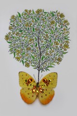 Printemps_CitronduMexiqueForsythia_1.jpg