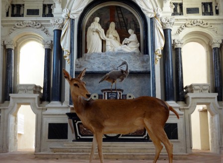 BicheChapelle2.jpg