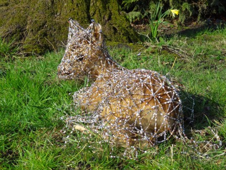 CduFaon2Chevreuil.jpg