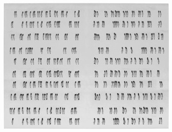 script200436158_04_rovner.jpg
