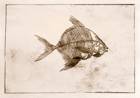 Gravure101Poisson2E1.jpg