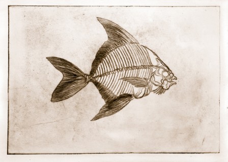 Gravure101Poisson2E2.jpg