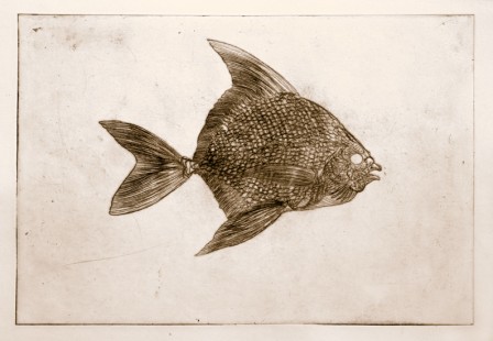 Gravure101Poisson2E3T1.jpg