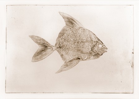 Gravure101Poisson2E3T2.jpg