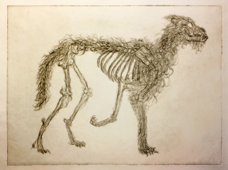 Gravure10chien1E2T1.jpg