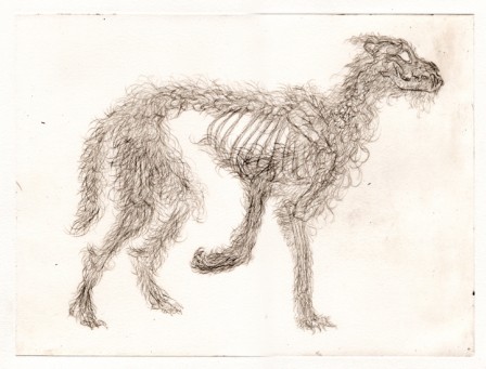 Gravure10chien1E3T2.jpg