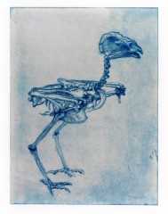Gravure12Faucon1E1T1.jpg