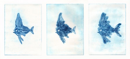 Gravure13PoissonAplumes1E123.jpg