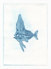 Gravure13PoissonAplumes1E1.jpg