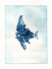 Gravure13PoissonAplumes1E2.jpg