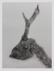Gravure16ChevreuilIE3TI.jpg