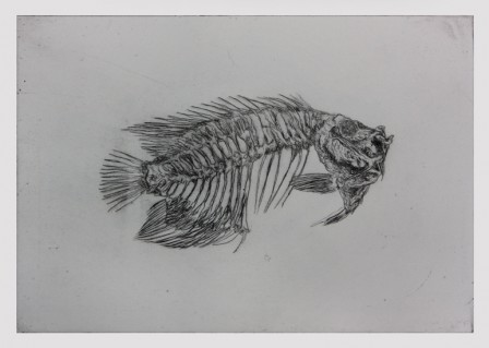 Gravure18poisson3E1TI.jpg