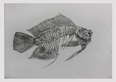 Gravure18poisson3E2TI.jpg