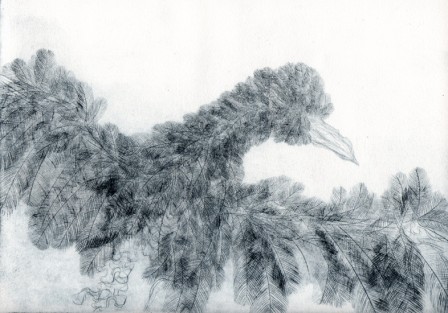 Gravure2merle2T1.jpg, juil. 2010