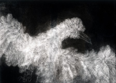 Gravure2merle2T2Neg.jpg, juil. 2010