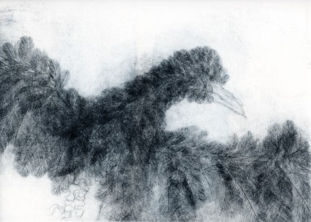 Gravure2merle2T2.jpg, juil. 2010