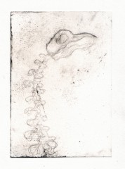 Gravure3-merle2squeletteT1.jpg, juil. 2010