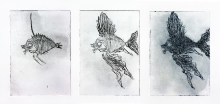 Gravure5-poisson1squeletteE1.jpg