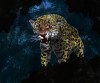 JaguarPage14ok.jpg