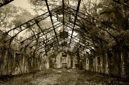 IleSaintJoseph4.jpg, janv. 2010