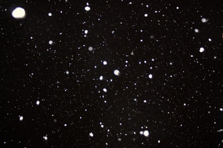 Neige11102.jpg