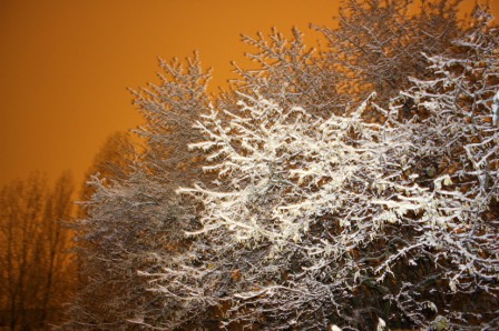 Neige11103.jpg