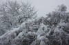 Neige11104.jpg