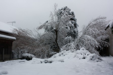 Neige11108.jpg