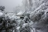 Neige11109.jpg