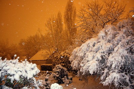Neige1110.jpg