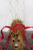 AccrochageM20.jpg, mai 2010