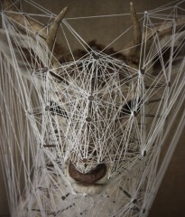 ConstellationDuDaim12.jpg