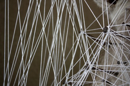ConstellationDuDaim7.jpg