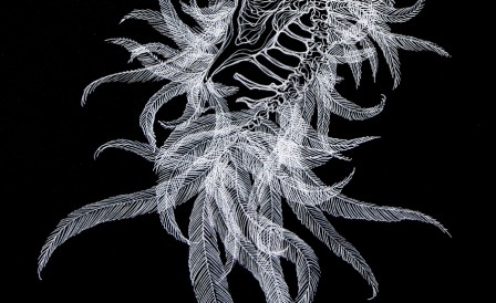 72noiretblanc72D.jpg