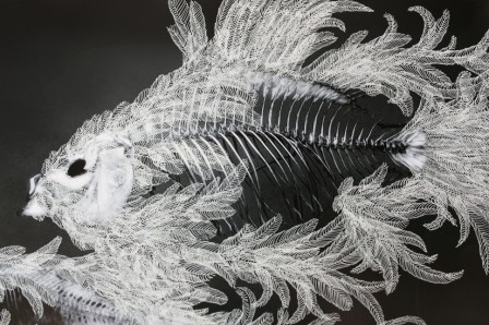 DAPoissonsJdP1detail.jpg