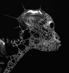 ReptileSimienE2.jpg