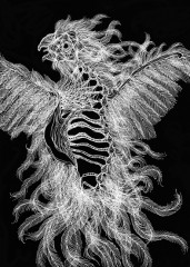S374noiretblanc74.jpg